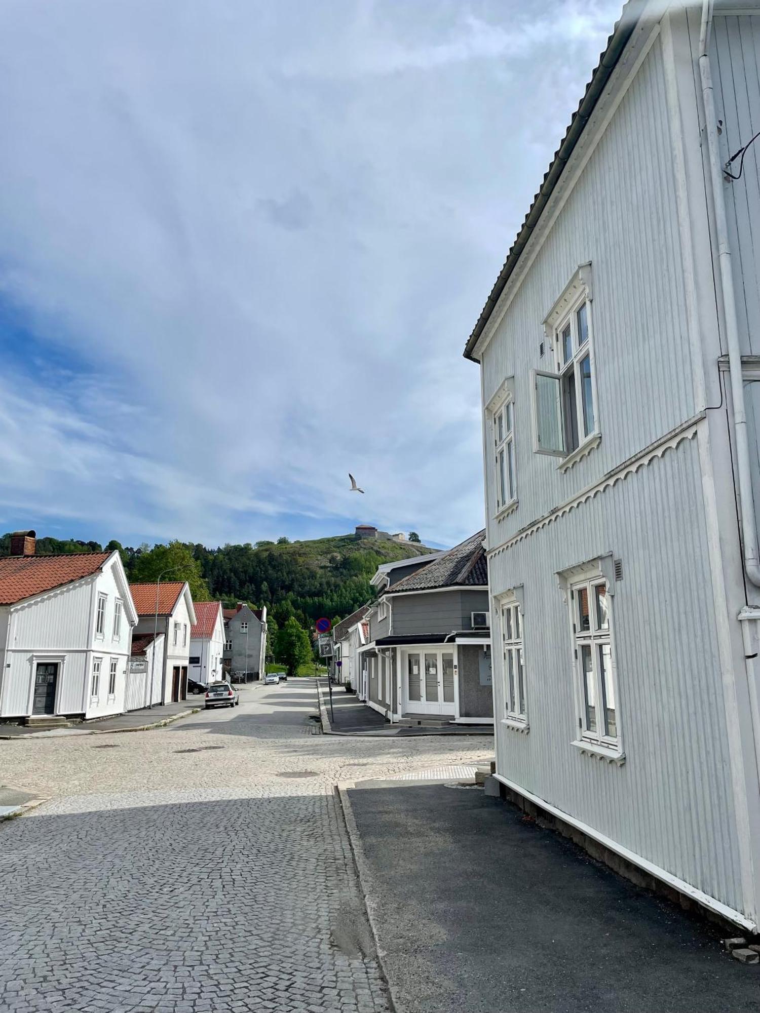 Sentral Og Fargerik Bygardsleilighet Halden Exterior photo